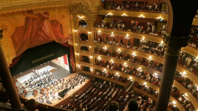 Цискаридзе прокомментировал смерть артиста на сцене Большого театра