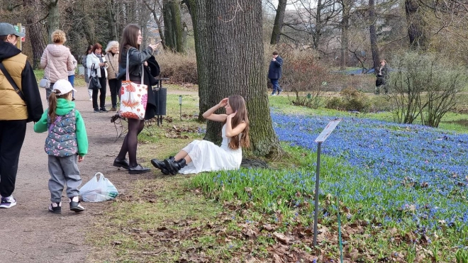 Петербуржцев попросили не садиться на первоцветы в Ботаническом саду