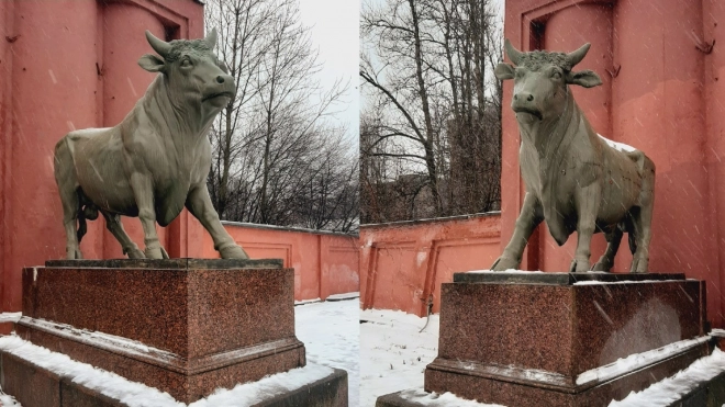 Скульптуры быков на Московском шоссе должны отреставрировать до 6 апреля 2023 года