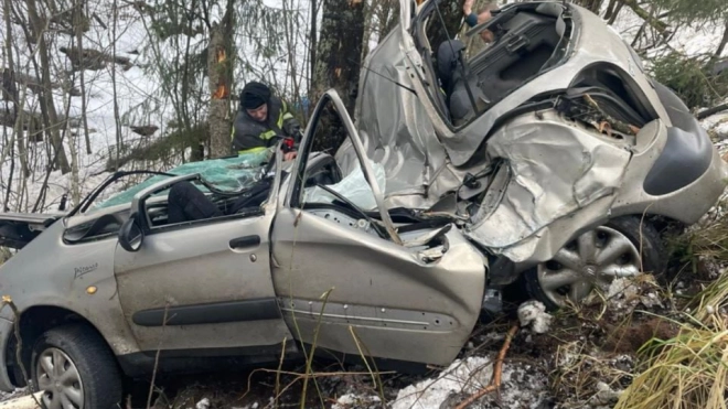 В Киришском районе Ленобласти в аварии погиб водитель Citroen