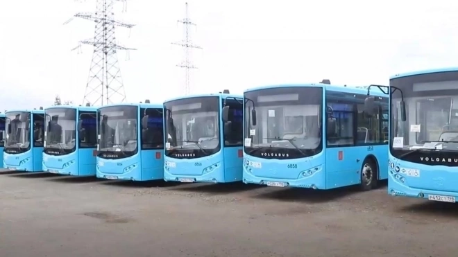В 2024 году автобусный парк Петербурга обновят на четверть