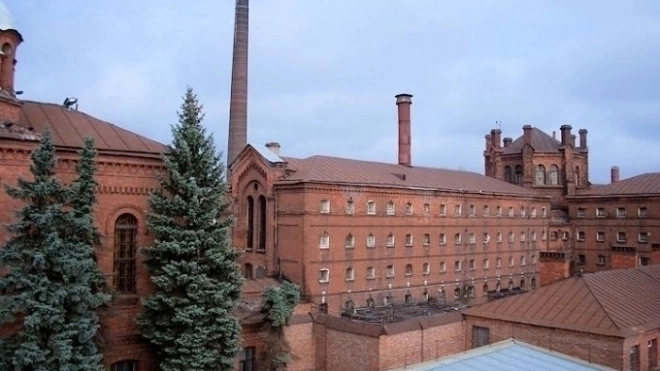 В "Крестах" повторно провели кулачные бои