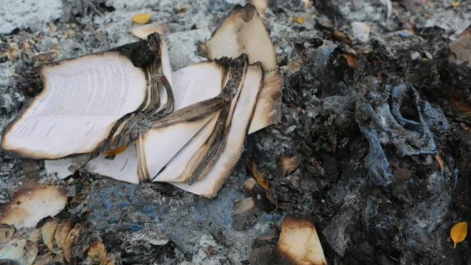 В Ленобласти во время пожара в дачном домике погибла пожилая пара