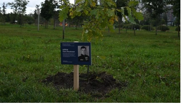 На Аллее славы в Кудрово испортили памятные таблички и растительность