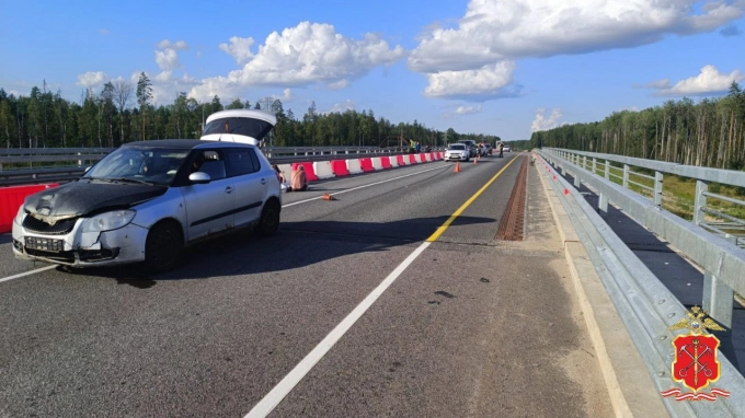 Уголовное дело заведено после ДТП под Тосно, где погиб ребенок