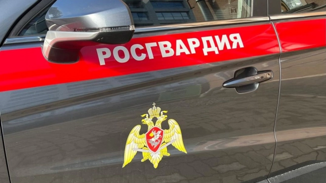 Росгвардейцы отыскали потерявшегося ребенка в Невском районе