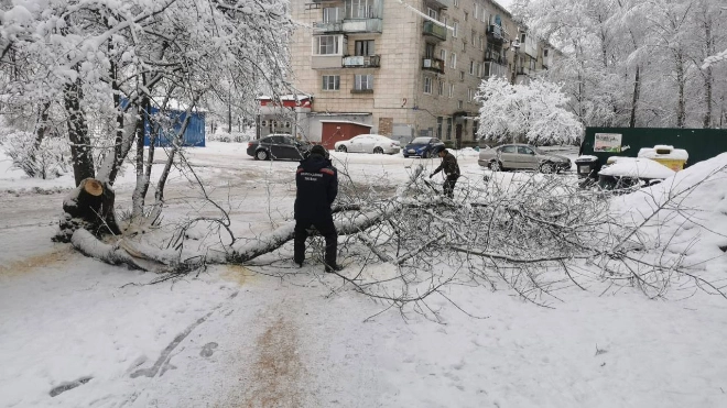 В Тихвинском районе 30 населенных пунктов остались без электричества