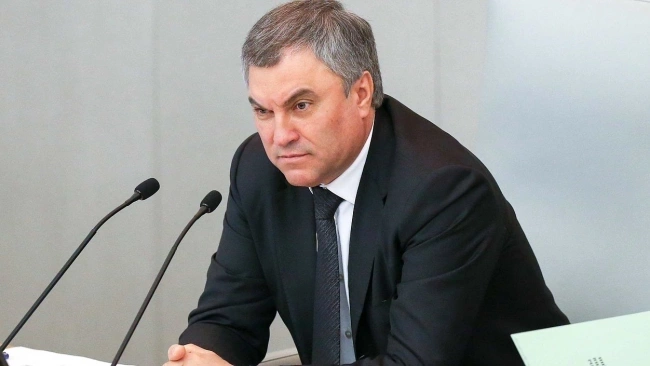 Володин поручил изучить вопрос прекращения выплат по внешнему госдолгу России