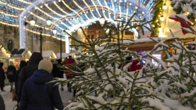 Центральный район Петербурга украсят к Новому году и Рождеству за 17,8 млн рублей
