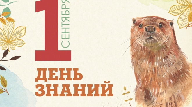 Школьники смогут бесплатно посетить Ленинградский зоопарк 1 сентября