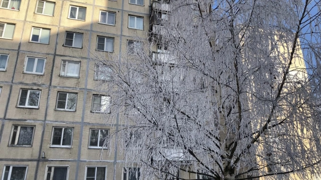 Во вторник в Петербурге будет снежно и до +2 градусов