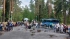 Петербуржцам напомнили о завершении сроков подачи документов на путевки в детские лагеря