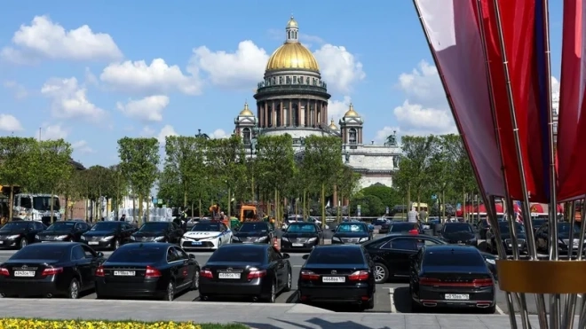 Кусты из липового сада на Исаакиевской площади в Петербурге переезжают