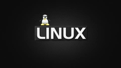 В России к 2025 году могут перейти на Linux