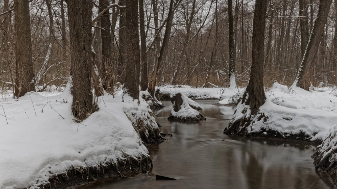 Пьяная уроженка Барнаула насмерть замерзла в реке Волхов после падения