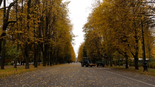 В Петербурге 24 октября погоду сформирует гребень антициклона
