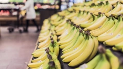 В России цена одного кг бананов в октябре достигла 143 рублей 
