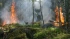 В Карелии площадь лесных пожаров приблизилась к 16 тыс. га
