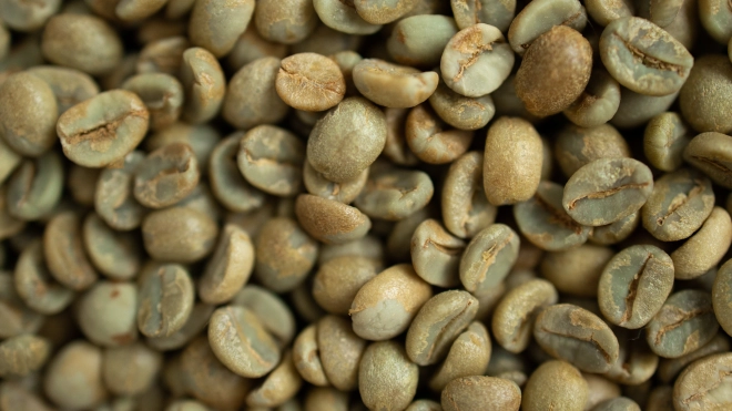 В Петербург привезли более 19 тонн зелёного кофе в зёрнах