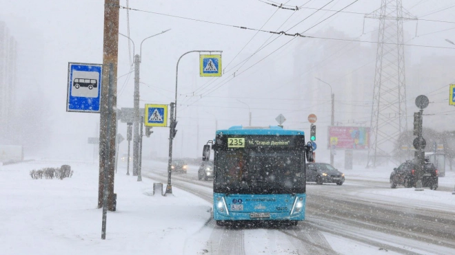 Общественный транспорт Петербурга начали готовить к зиме