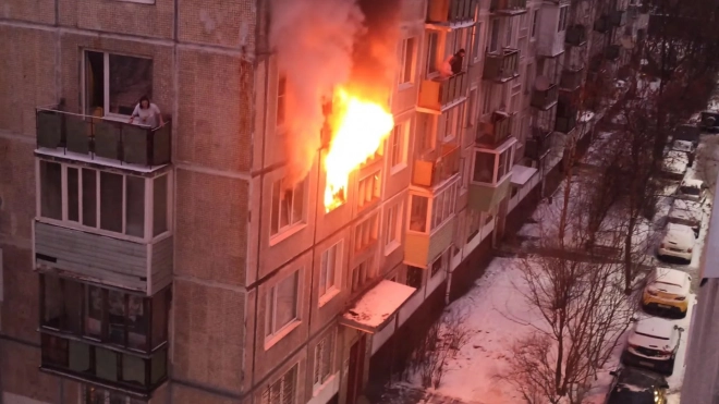 На проспекте Юрия Гагарина в  доме горела квартира, где жили две кошки