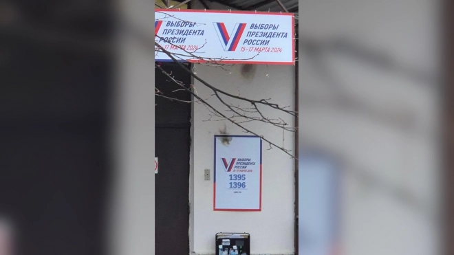В отношении попытавшейся поджечь избирательный участок на Варшавской улице петербурженки возбуждено уголовное дело