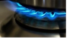”ГТС Украины” допускает угрозу ЧС из-за долгов по газу