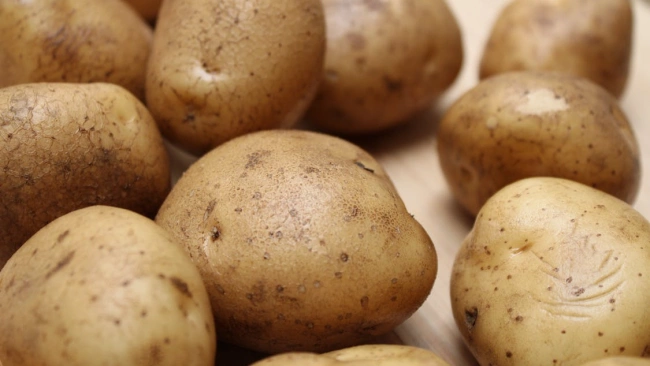 Россия увеличивает посевные площади под овощами открытого грунта на 7,9%, под картофелем - на 6,7%