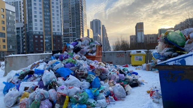 Эколог заявил, что не видит скорого решения проблемы с вывозом мусора в Петербурге