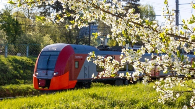 Санкт петербург девяткино сосново