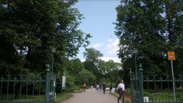 Сквер на Кузнечном переулке и парк Малиновка не включили в список зеленых насаждений