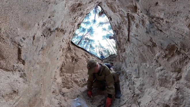 Останки 110 красноармейцев найдены в Нижне-Свирском заповеднике