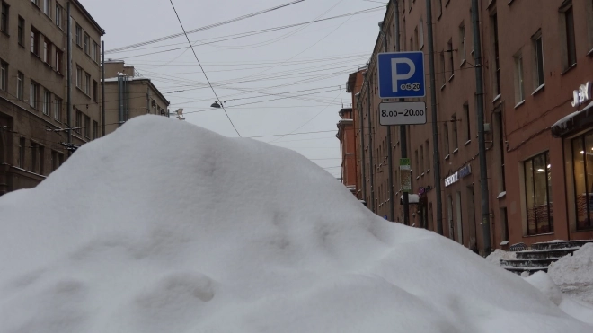 В ЗакСе Петербурга подвели первые итоги уборки снега