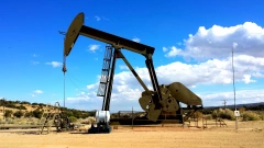 Индия возобновила покупки российской нефти "Sokol"