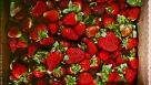 Жители России стали активнее покупать ягоды