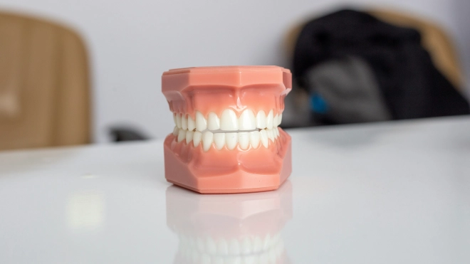Изобретение петербургского стоматолога поможет предотвратить развитие некроза челюсти