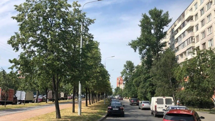 На Бухарестской улице установили около 200 новых фонарей 