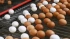 С начала года на птицефабриках Ленобласти на 10,4% выросло производство яиц.
