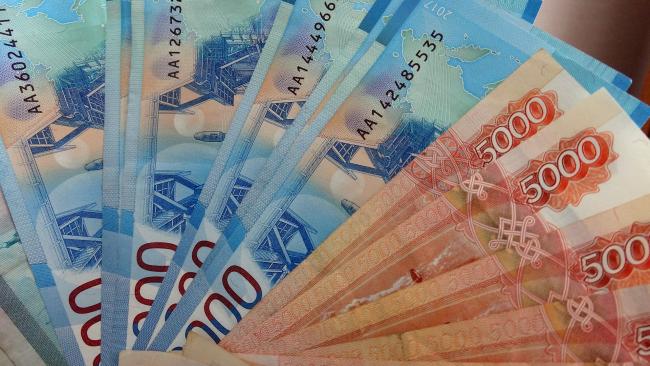 ЦБ: в России на фоне пандемии была выпущена рекордная сумма наличных денег