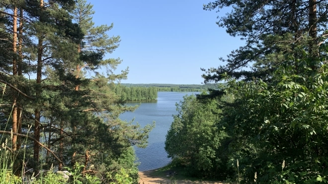Петербуржцам рассказали, почему не стоит купаться в озерах Всеволожского района