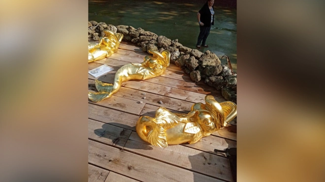 В Петергофе от рук вандалов пострадали дельфины у фонтана "Солнце"