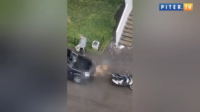 Стало известно, что погибшая на Рыбацком проспекте жительница Москвы была убита до падения с балкона