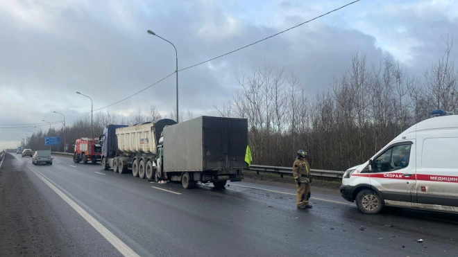 В Ленобласти на трассе "Кола" пострадал водитель Iveco 