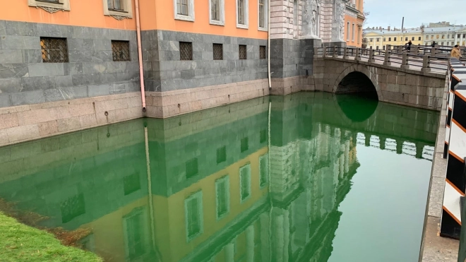 Петербуржцы переживают из-за позеленевшей воды во рву перед Михайловским замком