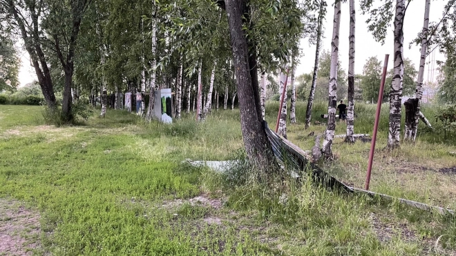 Часть Муринского парка в Петербурге перевели из зоны спортивных сооружений в зеленую