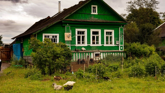 Петербуржцы стали чаще снимать загородные дачи