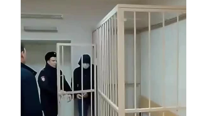 "Головолома" из петербургского УМВД заключили под стражу