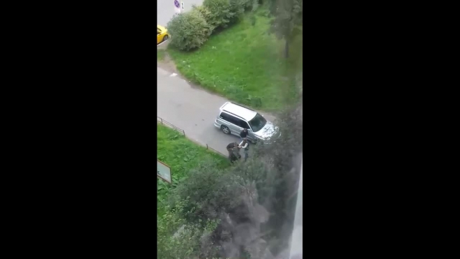 Видео: на Будапештской группа качков жестоко избила и засунула в машину петербуржца