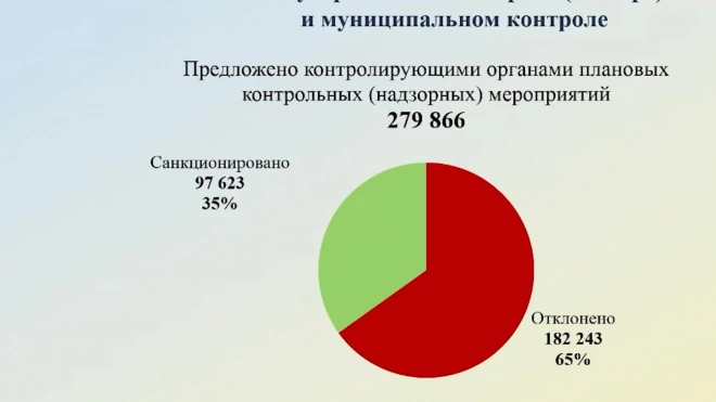 Краснов направил идеи по регламентации работы полиции при проверке бизнеса