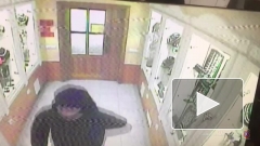 Ограбление ювелирного магазина в Камышине попала на видео